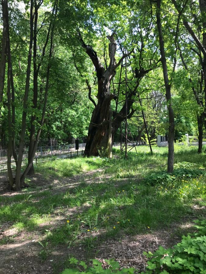 Warsaw-Aparts Ursynow Natolin Dış mekan fotoğraf